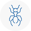 Ant Removals In Norfolk