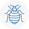 Bed Bug Extermination In Norfolk