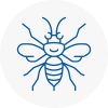 Norfolk Hornet Nest Removals