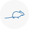 Mice Exterminators In Norfolk