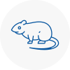 Rat Control Norfolk